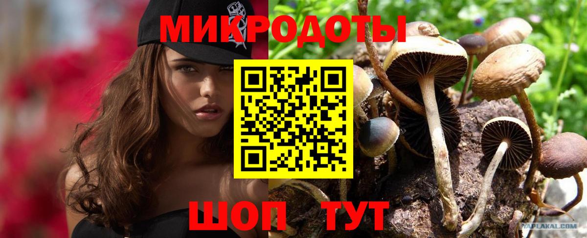 Галлюциногенные грибы Psilocybine cubensis  Вход с VPN  Нижневартовск 