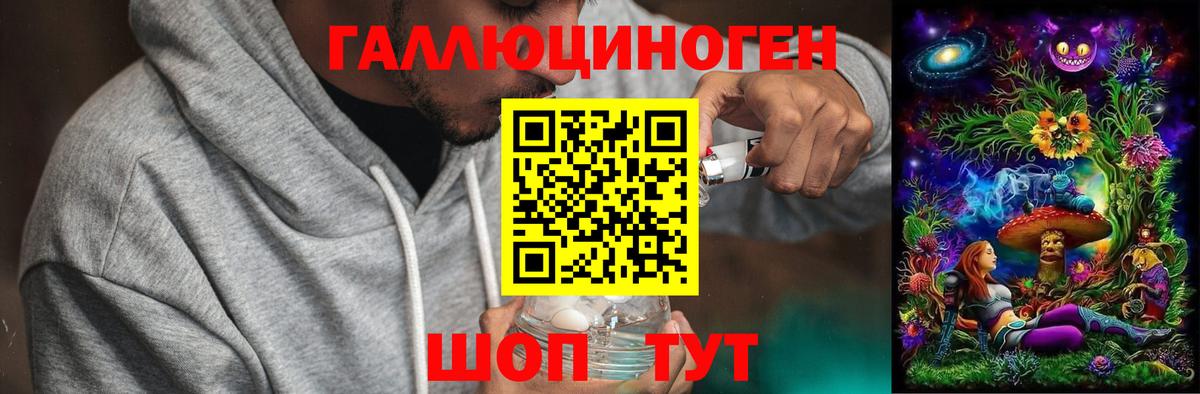 Галлюциногенные грибы Psilocybine cubensis Нижневартовск